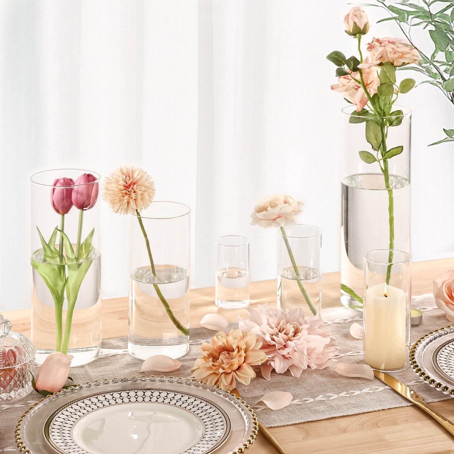 Tomnk Clear Glass Cylinder Hurricane Candle Holder Vases Set of 5 (4"+6"+8"+10"+12"High)
