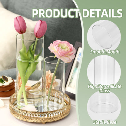 Tomnk Clear Glass Cylinder Hurricane Candle Holder Vases Set of 5 (4"+6"+8"+10"+12"High)